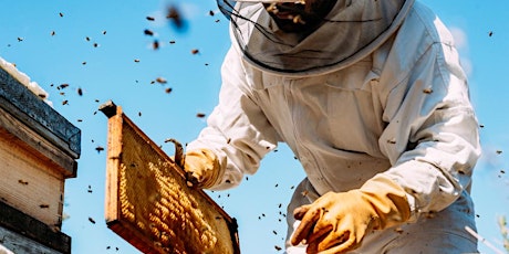 Beekeeping 201L: Hitting the Hives (In-person portion)