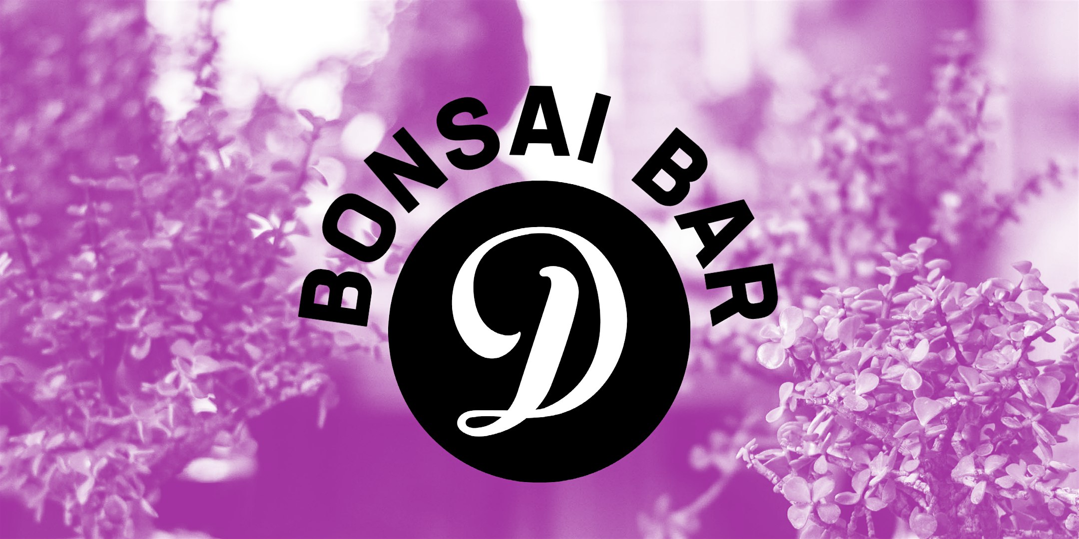 Bonsai Bar @ Dorchester Brewing