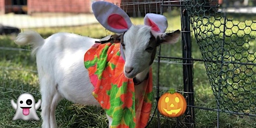 Adult Halloween Goat Yoga! -  10/30 | 6:30 - 7:30 PM | primary image