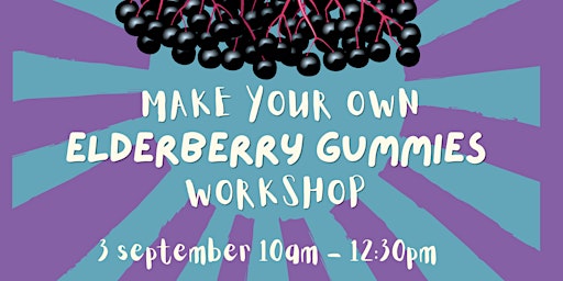 Elderberry Gummies Workshop