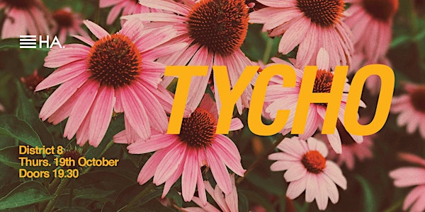 Tycho Live at District 8 //