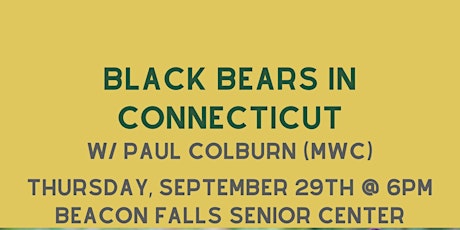 Black Bears in Connecticut (Adult/YA Program)