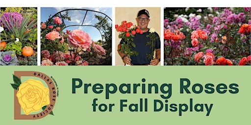 Dallas Rose Society Meeting: Preparing Your Roses for Fall Display