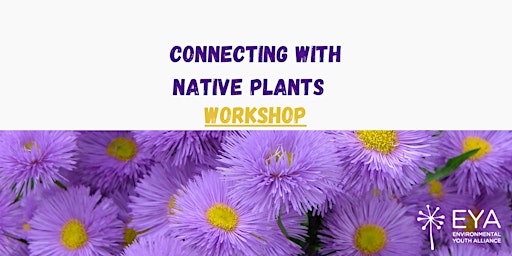 Connecting with Native Plants Workshop
