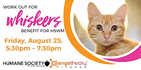 Workout for Whiskers! Orangetheory Fitness benefit for HSWM animals primary image