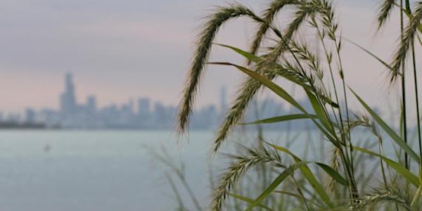 Urban Hike: Rainbow Beach Dunes