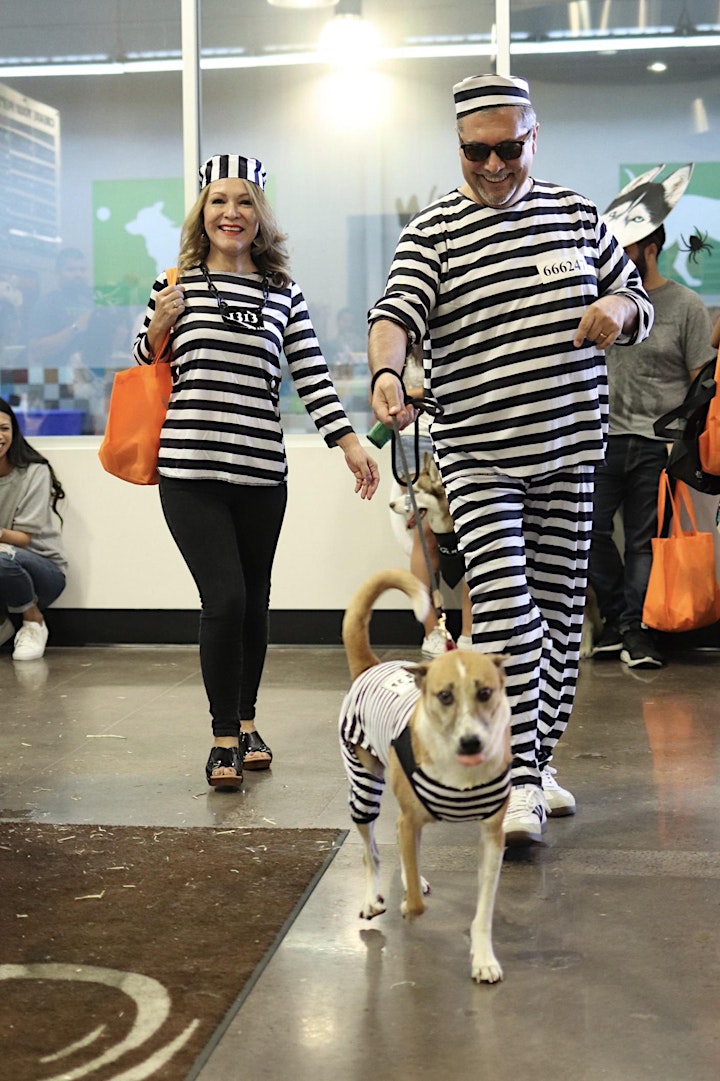 Haunted Howl-o-ween Party for Dogs at Wag Hotels Redwood City image