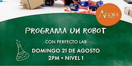 Programa un Robot con Perfecto Labs