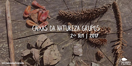 Imagem principal do evento Caixas da Natureza GRUPOS - 2°sem 2017