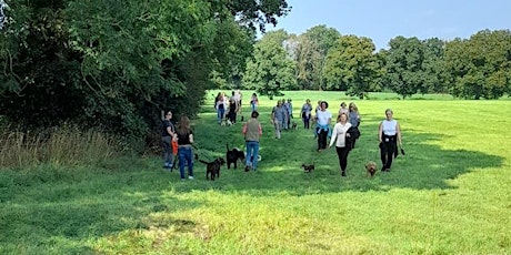 Charity Dog Walk & Show for Rosemere Cancer Foundation