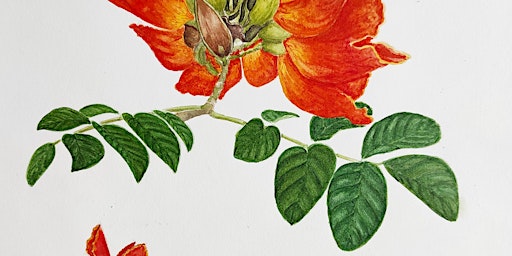 Workshop: Botanical Drawing with Sanath Herath (all ages)