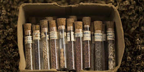 Seed Banks & Libraries: Preserving and Accessing Biodiversity