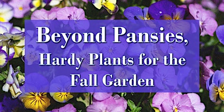 Beyond Pansies, Hardy Plants for the Fall Garden