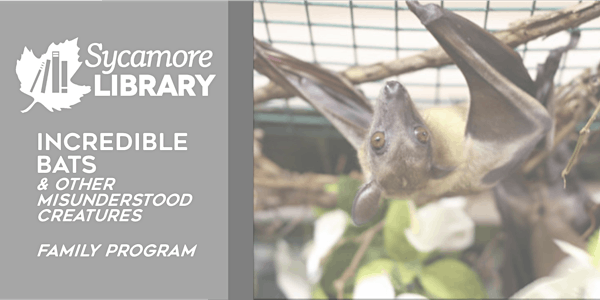 Incredible Bats & Other Misunderstood Creatures