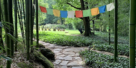 Matcha Meditation at Mountain Light Sanctuary