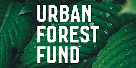 Drop-in Information Session - Urban Forest Fund primary image