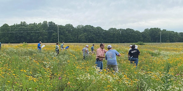 NCPCA Pollinator Field Day