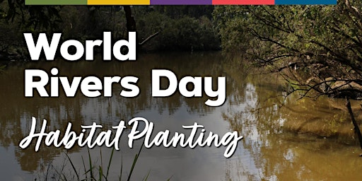 World Rivers Day - Habitat Planting