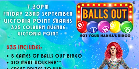 Imagem principal de Balls out Bingo