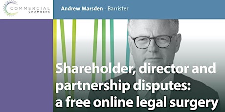 Legal surgery covering shareholder, director and partnership  disputes.