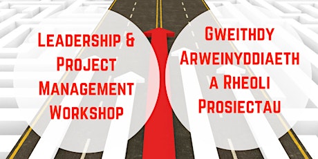 Leadership and Project Management Workshop | Gweithdy Arweinyddiaeth a Rheoli Prosiectau primary image