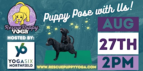 Rescue Puppy Yoga - YogaSix Northfield