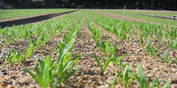 ISEAL Sustainability Standards Essentials Training Workshop (Bonn)