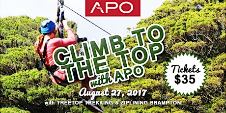 Climb to the Top with APO primary image