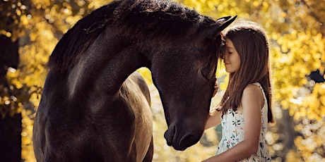 Equine Assisted Therapy with Children and Families: Exploring Connection