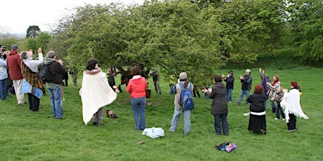 One Day Introduction To Irish Shamanism primary image