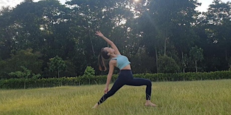 Hatha yoga @ 195 Pearl Hill