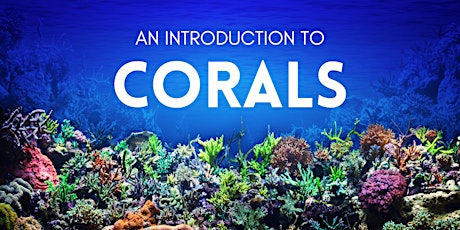 An Introduction to Corals