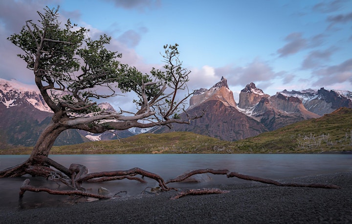 Sampling the Natural Wonders of South America and Antarctica - by Jim Neale image
