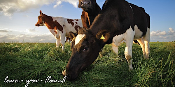 Rock House Creamery and Garden: A Farmview Schoolhouse Field Trip