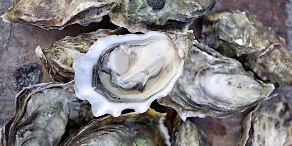 Ocean State Oyster Festival 2017