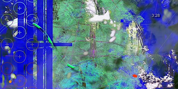The Night Gallery: The Enchanted Forest / Jenny Rodenhouse