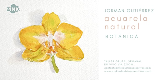 Acuarela natural BOTÁNICA // Taller continuo semanal, por Jorman Gutiérrez.