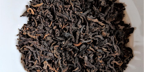 Tea Tasting: Indian and Sri Lankan Black Teas