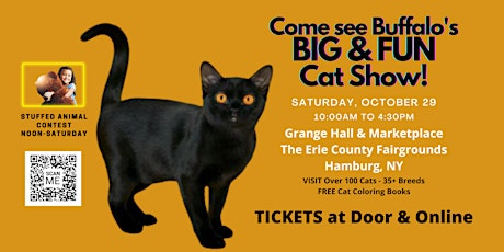 BIG Cat Show - Hamburg, NY