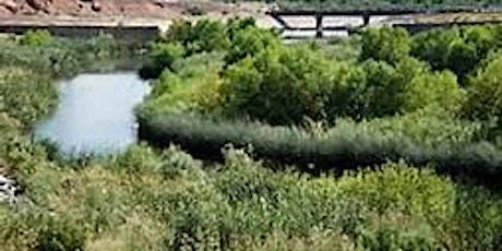 Spirit and Nature Meditation Walks At the Wetlands in Las Vegas primary image