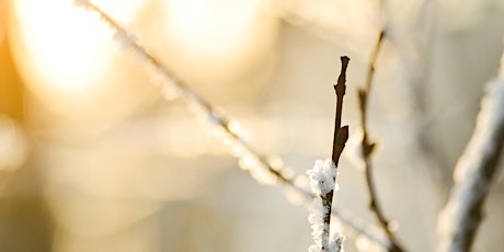 Winter Sun: A Zen Retreat in Madison primary image