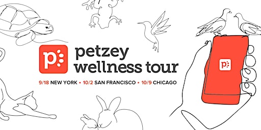 Petzey Wellness Tour: San Francisco