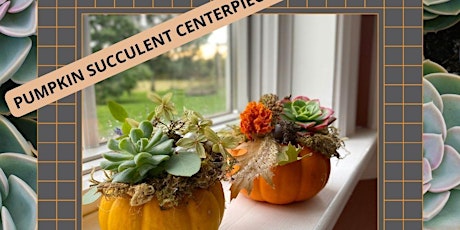 Pumpkin Succulent Centerpiece