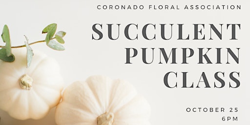 Coronado Floral Association - Succulent Pumpkins
