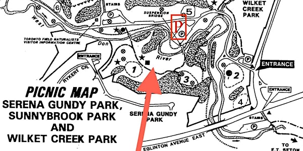 Kia Ora Canada Whanau Day Picnic