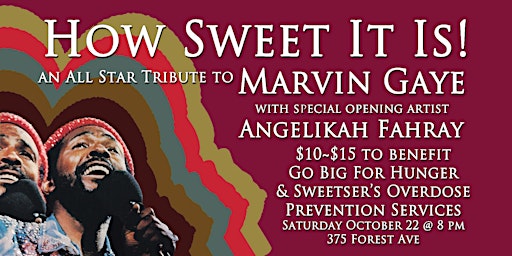 How Sweet it is! An All-Star tribute to Marvin Gaye