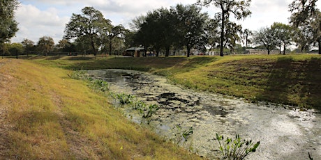 Houston Botanic Garden Volunteer Wetland Planting Events