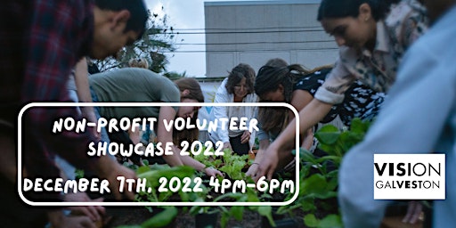Non-Profit Volunteer Showcase