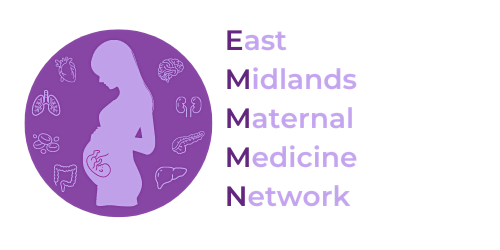 East Midlands Maternal Medicine Network Launch Event.