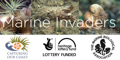 Marine Invaders - Capturing Our Coast Southwest